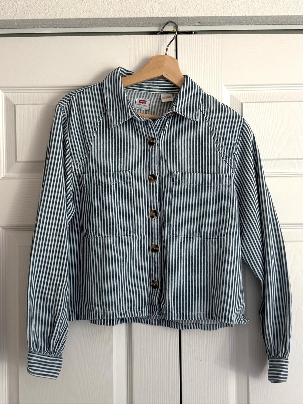 Levi's Navy and White Vertical Stripe Casual Button-Down Shirt